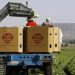 Are the Taylor Farms recalls connected?