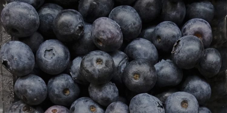 Frozen blueberries recall categorized under FDA’s highest Class I risk level