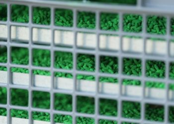 Texas sterile fly facility set for spring opening