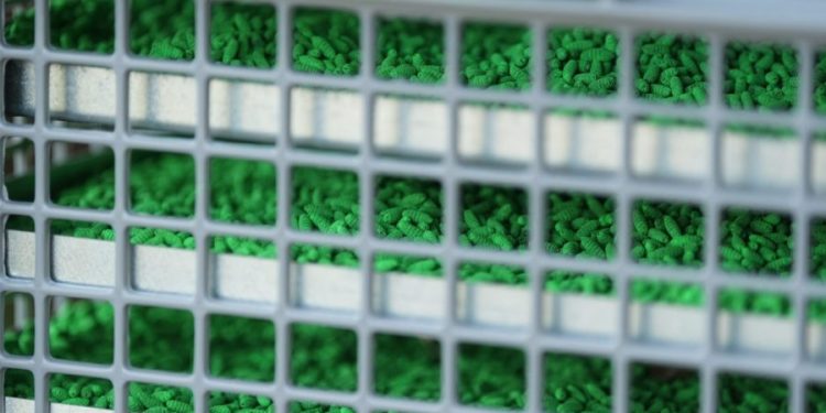 Texas sterile fly facility set for spring opening