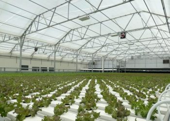 2 cyclospora deaths reported in Michigan