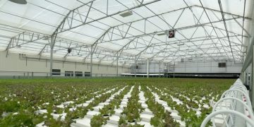 2 cyclospora deaths reported in Michigan