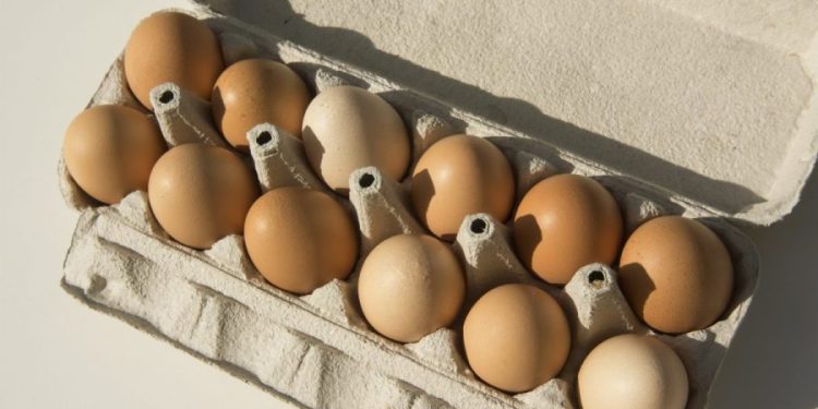 FDA assigns highest-risk Class I status for recall of nearly 1.6 million cartons of eggs
