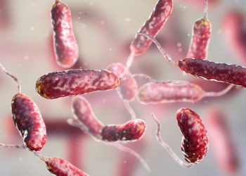Why are flesh-eating bacteria expanding beyond traditional hotspots?