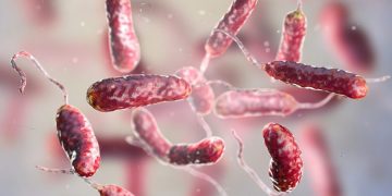 Why are flesh-eating bacteria expanding beyond traditional hotspots?