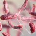 Why are flesh-eating bacteria expanding beyond traditional hotspots?