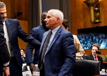 Senate panel to vote on Fauci contempt resolution after tense hearing