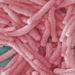 Second death confirmed in Bronx Legionnaires’ disease cluster
