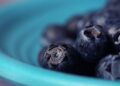 Compound in blueberries may help muscles burn fat, study finds