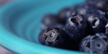 Compound in blueberries may help muscles burn fat, study finds