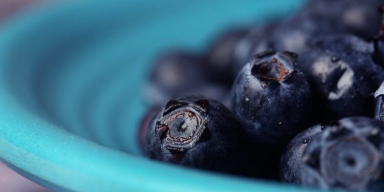Compound in blueberries may help muscles burn fat, study finds