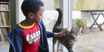 Study links cats to more anxiety, behavioral issues in young kids