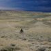 Part grueling race, part field study