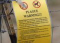 Plague in Russia sparks concern, COVID-19 pandemic memories: 5 things to know